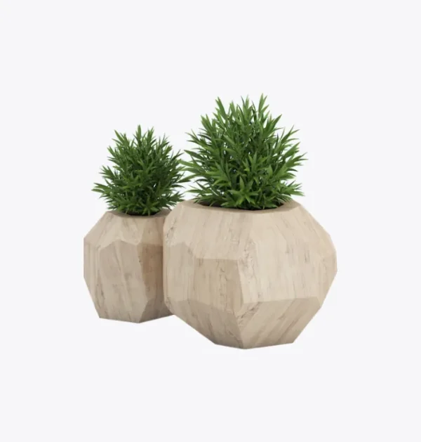 product-image-7_optimized Minim Veniam